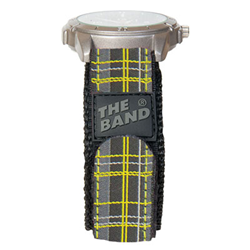 The Band 3/4